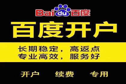 某公司通过百度SEM竞价推广实现快速市场扩张的秘诀